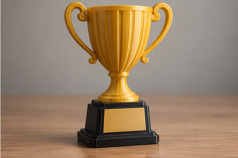 Trofeos y premios corporativos personalizados, mayoreo
